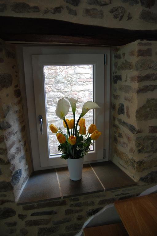 Отель Emily House Montecerboli Экстерьер фото
